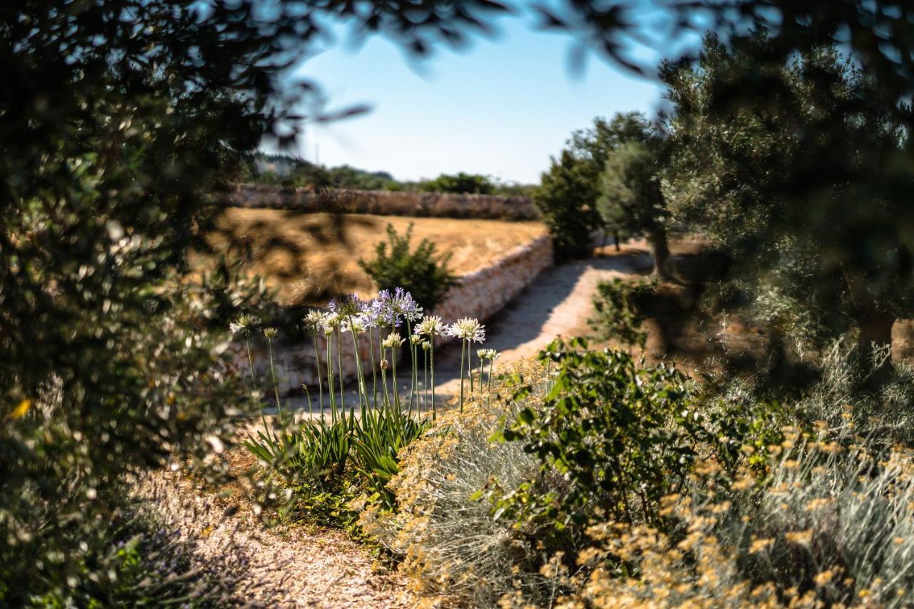 Villa Trulli Ad Maiora à Alberobello Extérieur photo